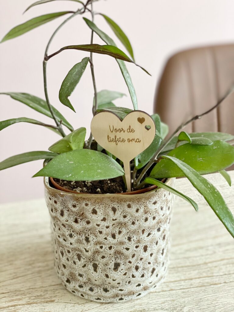 Moederdag 2021; cadeautips voor moeders en oma's! 8 plantenprikker hart